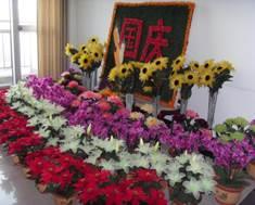 说明: SDC13167.JPG